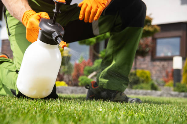 Best Bed Bug Extermination  in Council Grove, KS
