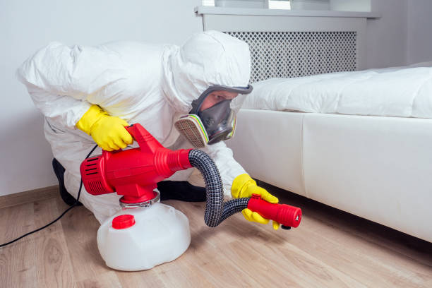 Best Local Pest Control Services  in Council Grove, KS