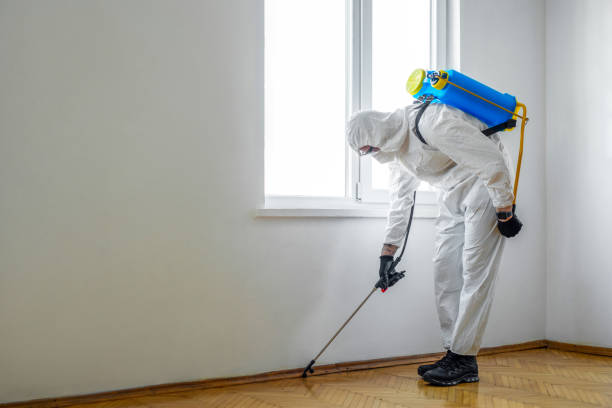 Best Cockroach Control Services  in Council Grove, KS