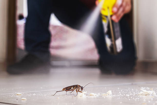 Wildlife Control Services in Council Grove, KS