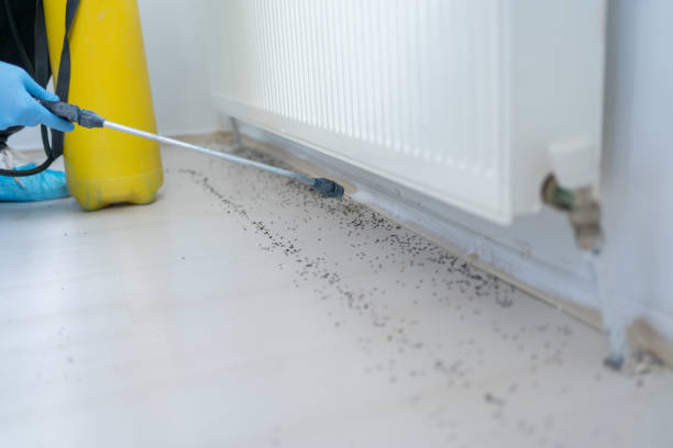 Best Pest Inspection Near Me  in Council Grove, KS